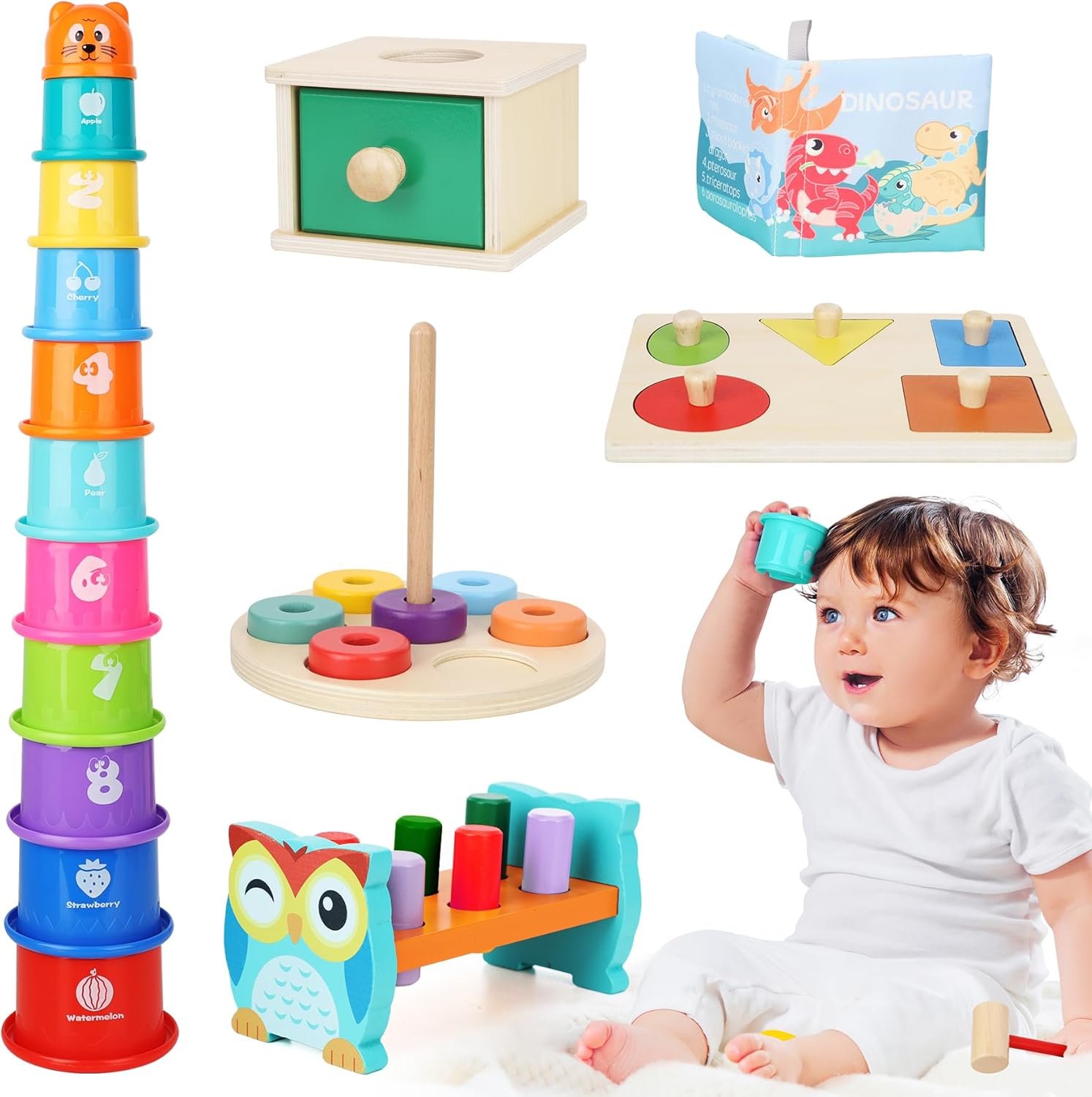 Dulsaera Montessori Toys for 1 Year Old, 6-in-1 Baby Toys 6-12 Months Educational Toys for 1 Year Old Developmental Learning Toy Infant Birthday Gifts for Boys Girls Babies