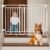 Grownsy Baby Gate for Stairs- No Bottom Bar, 29.8” to 43.5” for Child and Pet, Dog Gate with Auto-Close & One-Hand Operation, Hardware-Mounted (Drill Needed) Installation for Doorways and Indoor Use