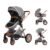 Cochildor DuraFlex 2-in-1 Baby Stroller, Foldable Travel Stroller for Newborn to Toddler, Convertible Stroller with All-Terrain Wheels and UPF 50+ Canopy, Gray