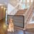 NWK Magic Dog Gate for Stairs Pet Gate for The House Providing a Safe Enclosure for Pets to Play and Rest, 6 Hooks Design (30” X 43”)