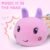 Baby Infant Musical Toy Soft Stuffed Animal Toy with Multi Textures,Rattle,Crinkle,Newborn Baby Toy for 0 3 6 9 12 Months Girls Boy Gift,Caterpillar，Pink