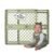 Toddleroo by North States – ReNew 100% Recycled Plastic Baby Gate for Doorway; Sturdy for Indoor & Outdoor Use: Pressure Mounted, No Drill Gate; Made in USA; 26″ to 42″ Wide, 26″ Tall; Sea Grass Green